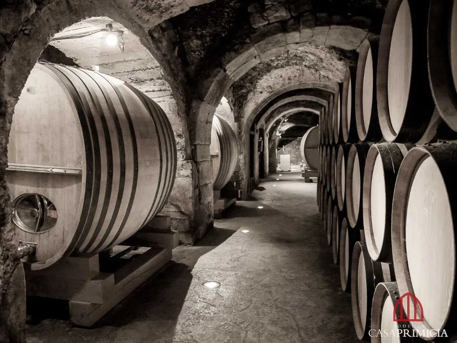 Cuevas históricas