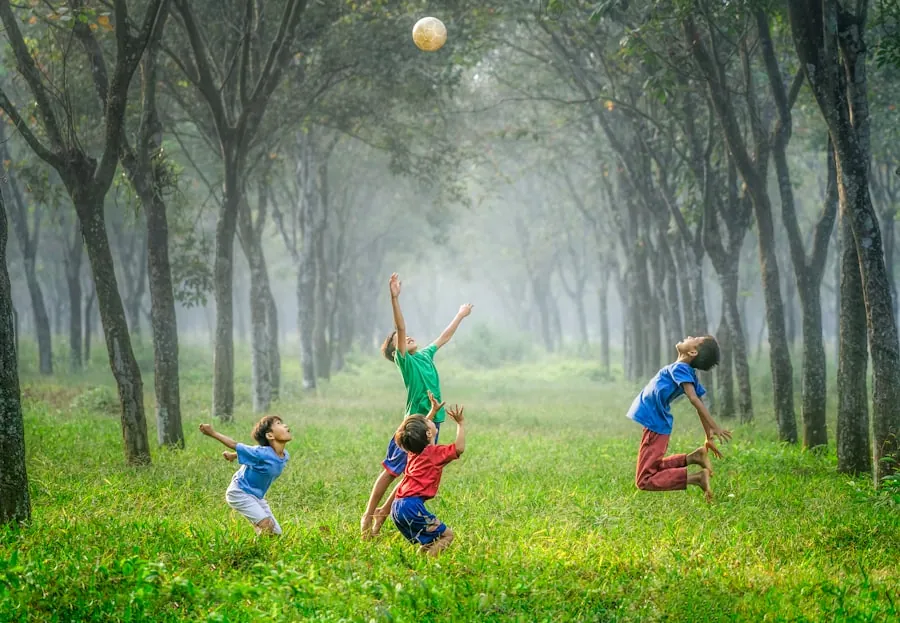 Parque de diversiones